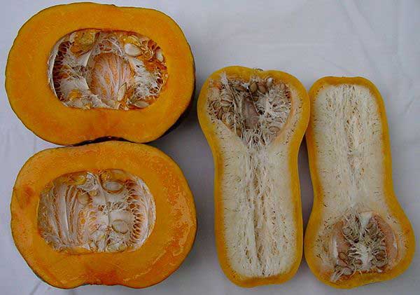 خواص کدو حلوایی