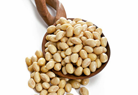 سویا و سرطان پستان