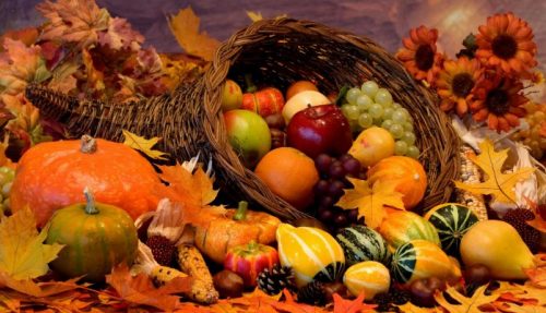 تغذیه در پاییز