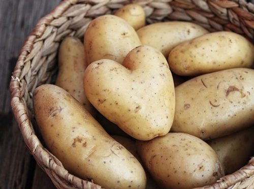 مضرات و فواید سیب زمینی کبابی