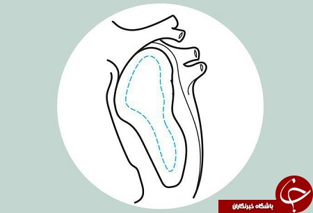 تپش قلب ورزشکاران