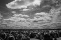 n00069270-r-b-010.jpg