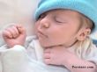 baby-persianv_(3)_w.jpg