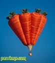 baloon-persianv.com_(7).jpg