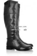 boot007persianv.jpg