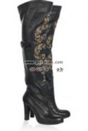 boot014persianv.jpg
