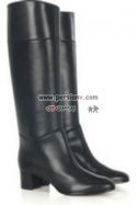 boot057persianv.jpg