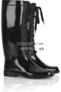 boot123persianv.jpg