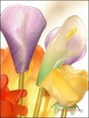 persianv-flower-gol-royaee_(21).jpg