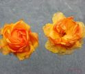 persianv-flower-gol-royaee_(3).jpg