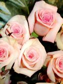 roz-flower_(13).jpg