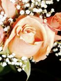 roz-flower_(25).jpg