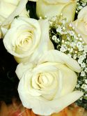 roz-flower_(27).jpg