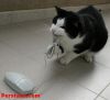 persianv.com.fun-pic2_(17)_w.jpg