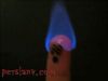 fingers-persianv.com_(12).jpg
