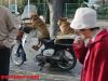 persianv.com.fun_(14)_w.jpg