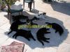 funny4-persianv.com_(154)_w.jpg