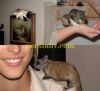 funny4-persianv.com_(27)_w.jpg