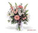 gol-goldoon_(276).jpg