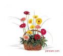 gol-goldoon_(418).jpg