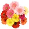 flower-persianv.com_(9).jpg