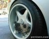 persianv.com.heyvanat2_(9)_w.jpg