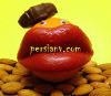 1.persianv.com_(5).jpg