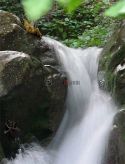 makanhaye-royaee_(16).jpg