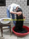 04_hair_37928_w.jpg