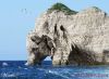 persianv.com.nature_(10)_w.jpg