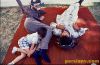 persianv.com.sleep_(5)_w.jpg