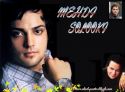 poster-cinemaee-pv_(121).jpg