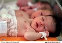 14_8803231230_L600.jpg