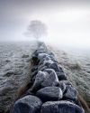 scotland-021.jpg
