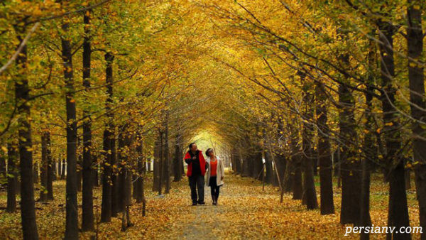 مدالیته های حسی