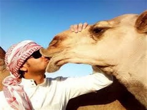 سوژه های خنده دار 427