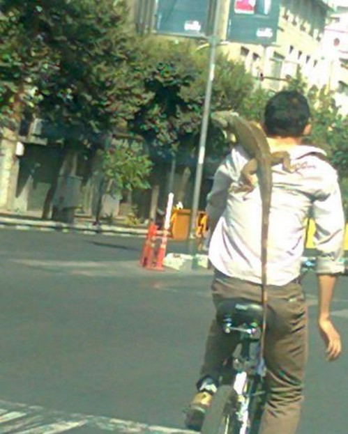 سوژه های خنده دار 458