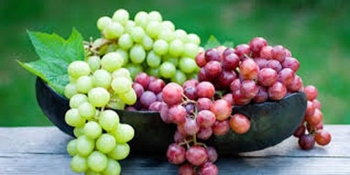 داستان جالب نزاع چهار نفر بر سر انگور