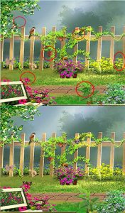 بازی فکری تست هوش تصویری بازی فکری تست هوش تصویری