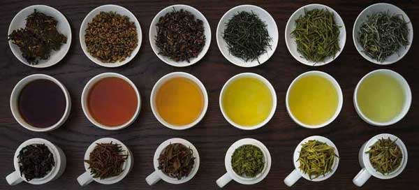 بیشتری زمان برای نگهداری از انواع چای 