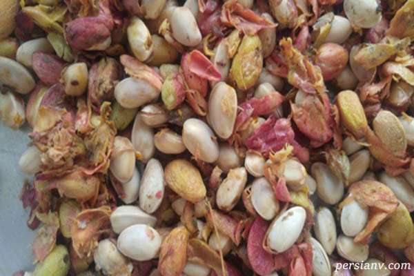 نگهداری پسته خشک شده