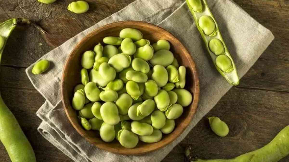 راه و روش‌های خشک کردن باقالی سبز برای تمام فصول
