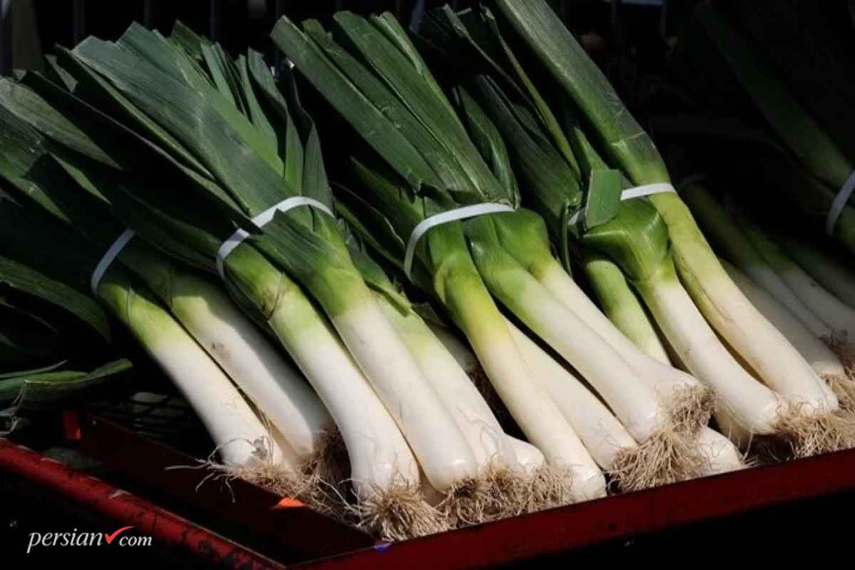 روش های فریز کردن تره فرنگی