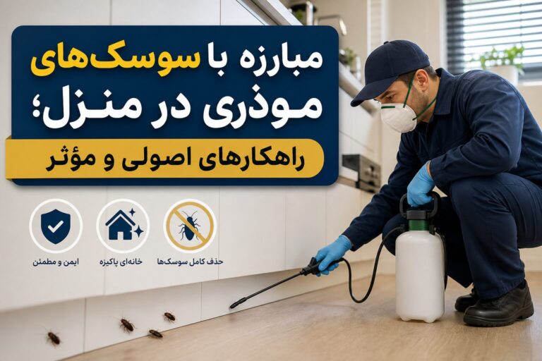 مبارزه با سوسک