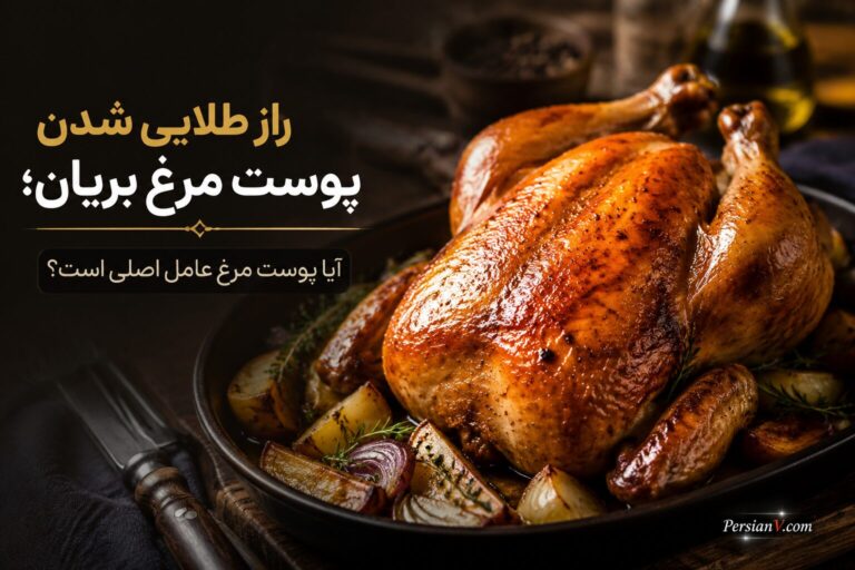 راز طلایی شدن پوست مرغ بریان؛ آیا پوست مرغ عامل اصلی است؟