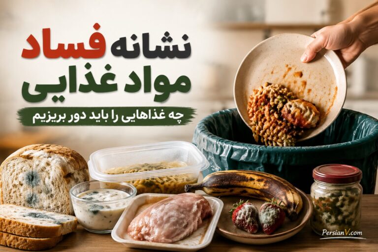 ۴ نشانه‌ای که می‌گوید غذا را فوراً دور بریزید ؛ فرق غذای مانده سالم با غذای خطرناک
