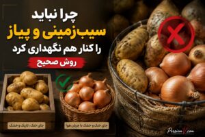 سیب‌زمینی و پیاز را کنار هم نگهداری نکنید؛ راز ماندگاری طولانی‌تر این دو قهرمان آشپزخانه