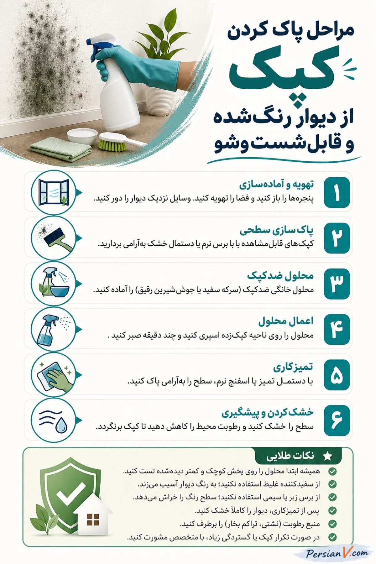 از بین بردن کپک دیوار از بین بردن کپک دیوار