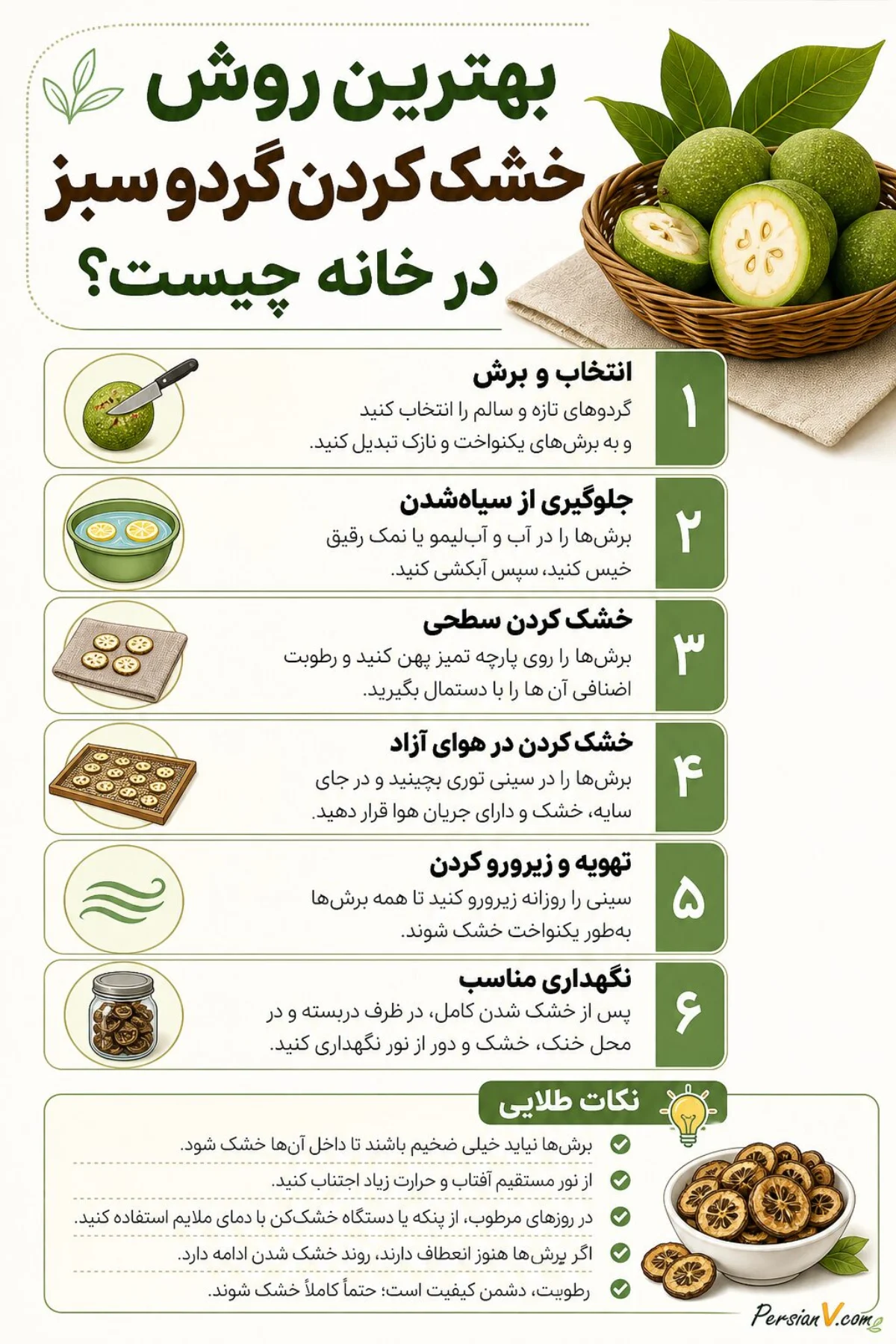 خشک کردن گردو سبز