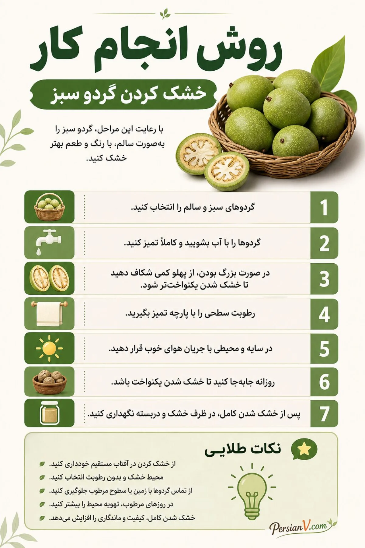 روش انجام کار خشک کردن گردو سبز